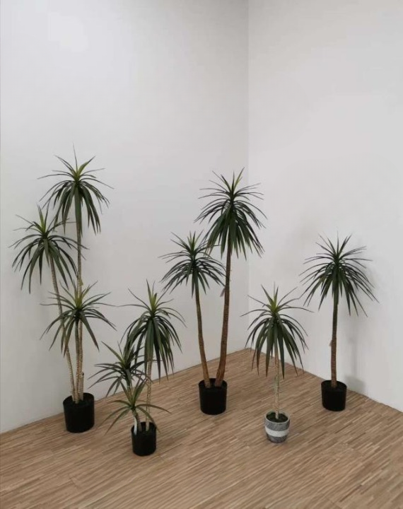 Artificial Dracaena