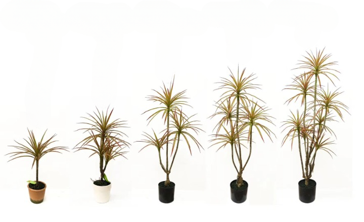 Artificial Yucca Palm