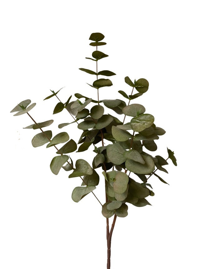 Artificial Eucalyptus