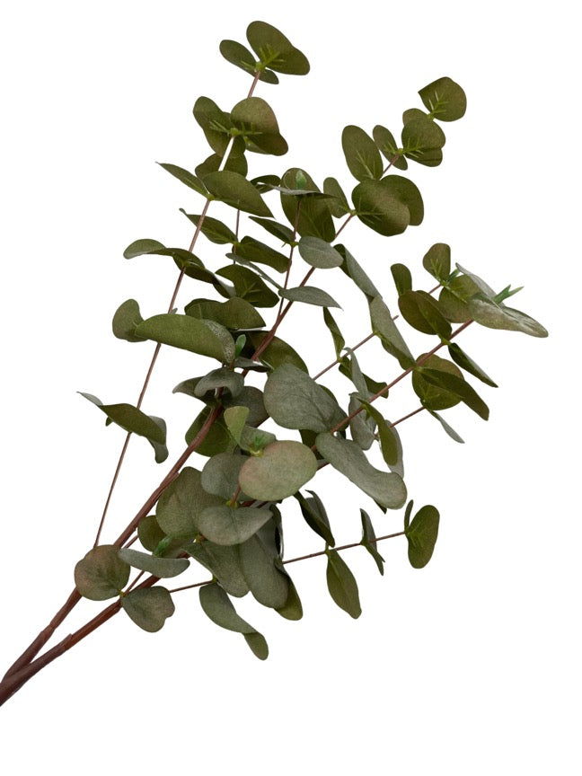 Artificial Eucalyptus