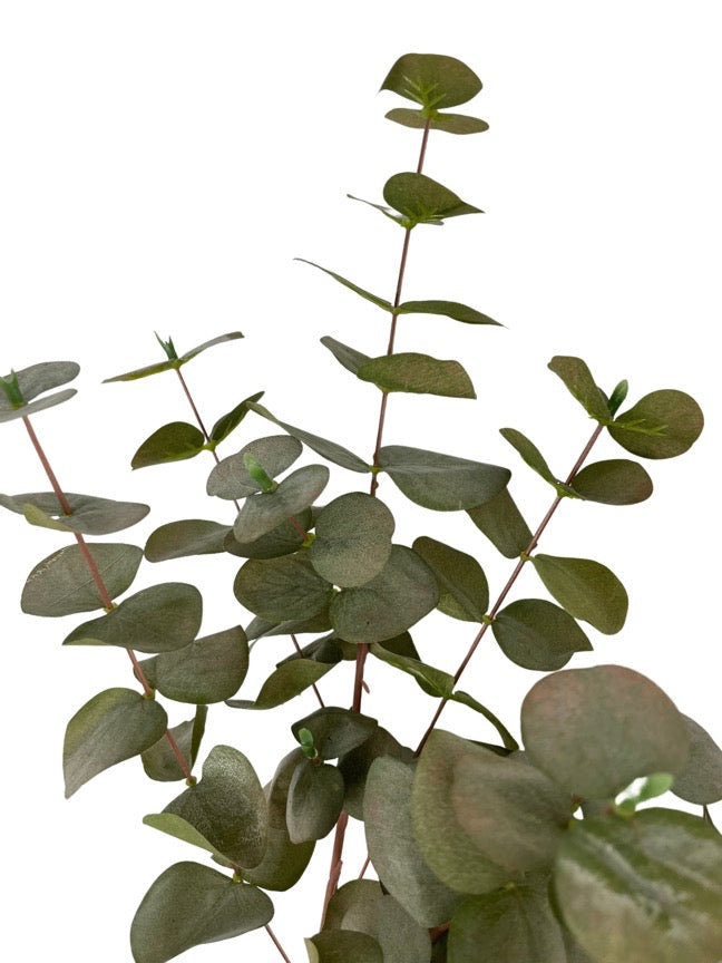 Artificial Eucalyptus