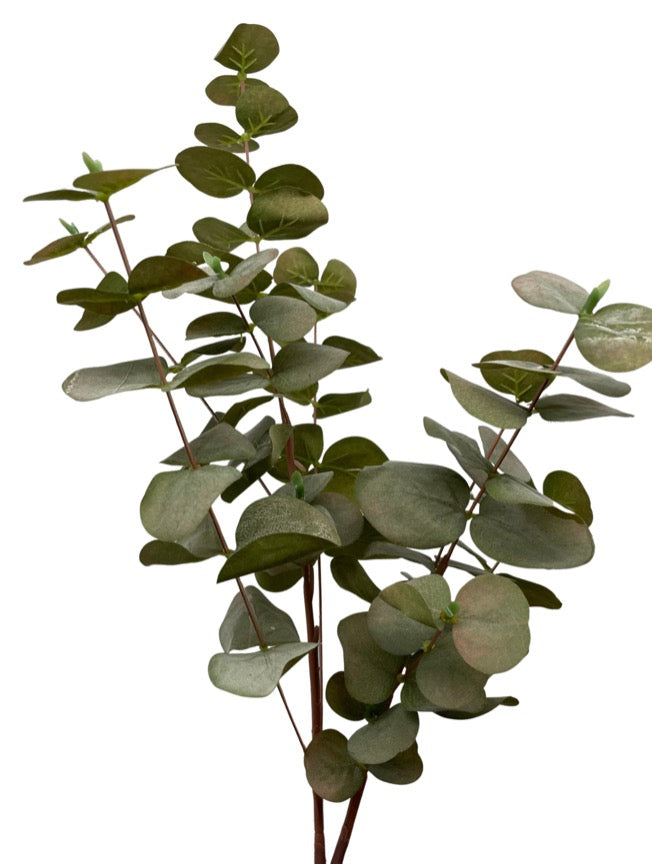 Artificial Eucalyptus