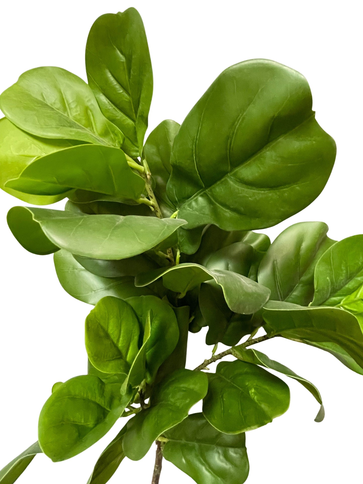 Artificial Fiddle Leaf Branch