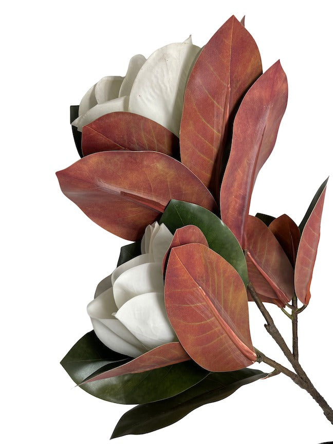 Artificial Magnolia