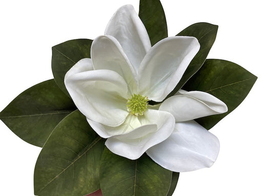 Artificial Magnolia